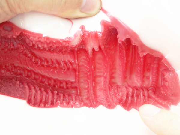 床オナ式名器 (ぴったりフィット ノーマル)