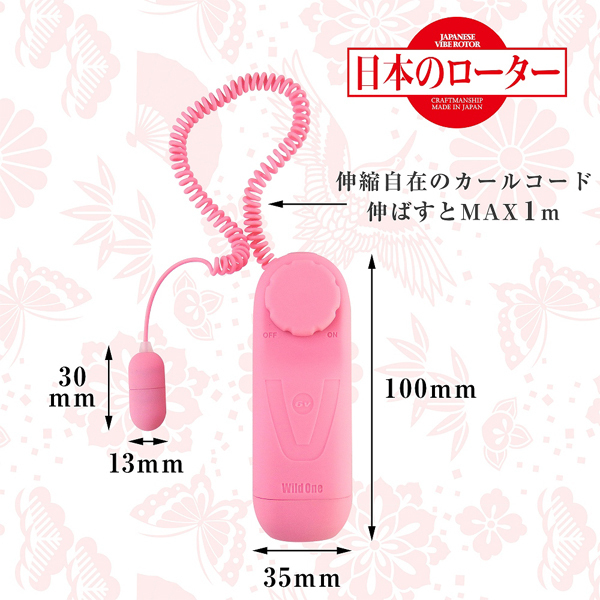 日本のローター