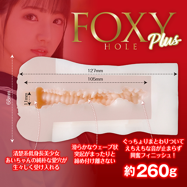 FOXY HOLE PLUS (河奈亜依)