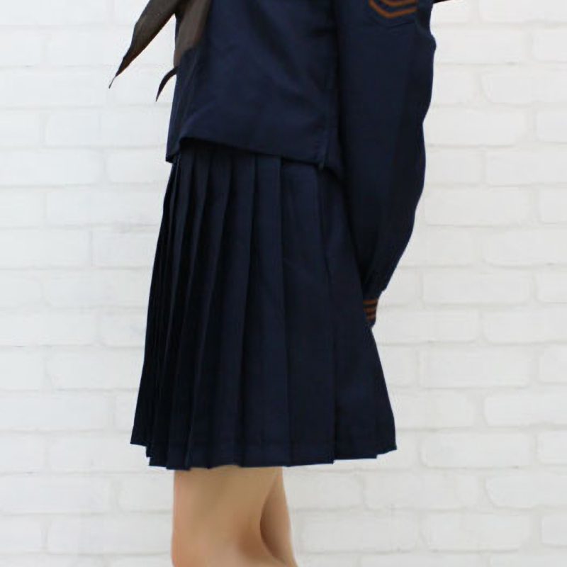 Alternative view of 国際学園のセーラー服（冬服）　ＢＩＧ